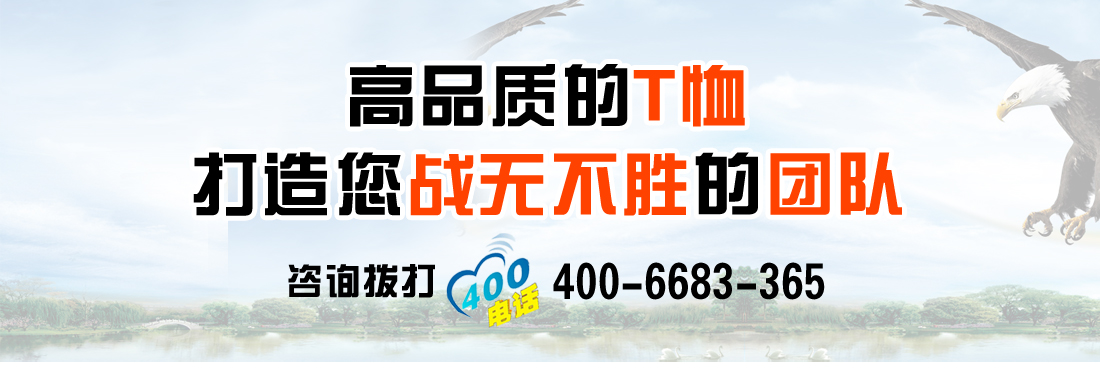 t恤衫1522-13(圖14)